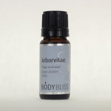 Arborvitae
