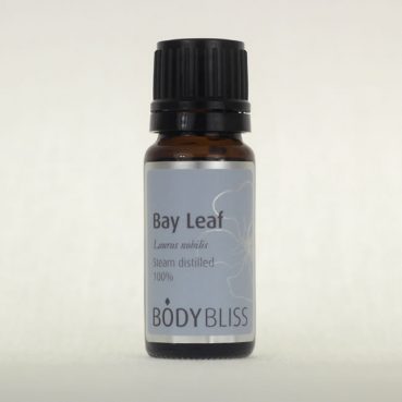 Bay Leaf