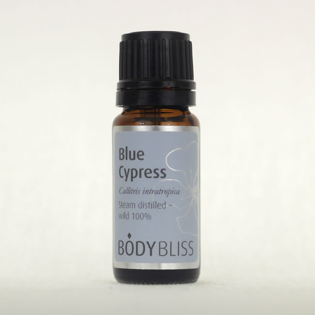 Cypress, Blue