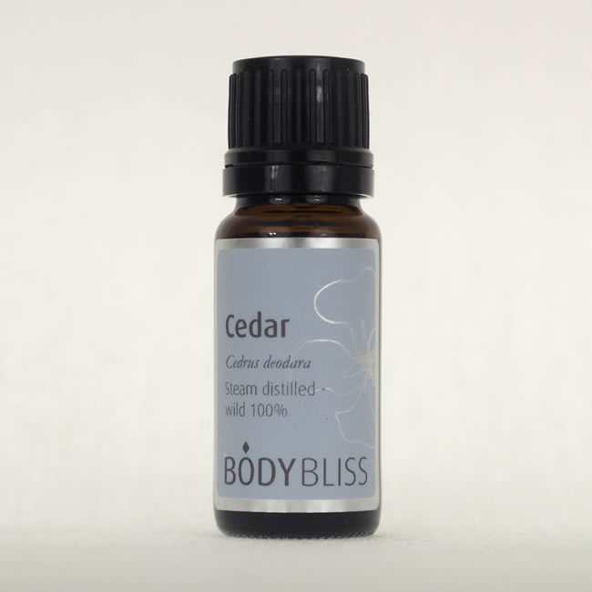 Cedar