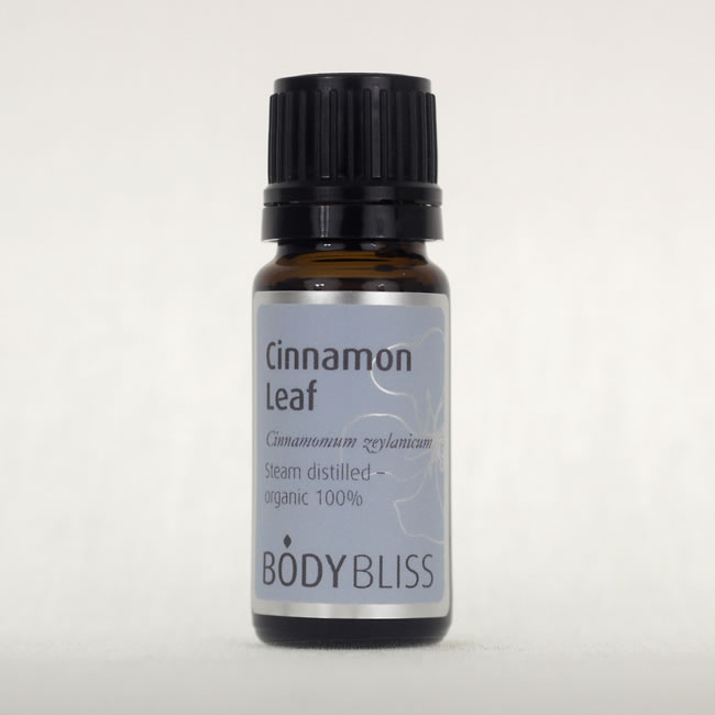 Cinnamon Leaf