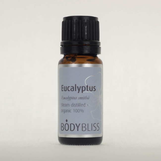 Eucalyptus