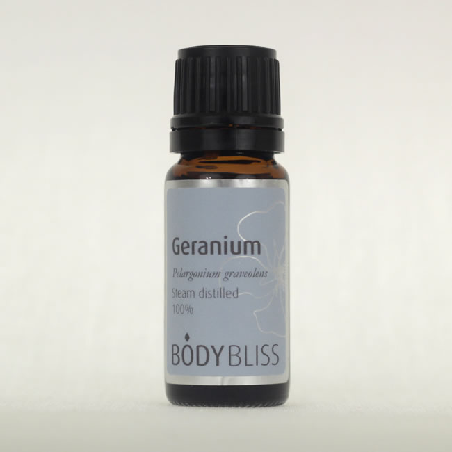 Geranium