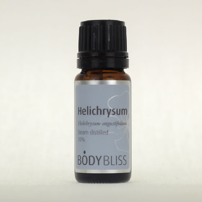 Helichrysum