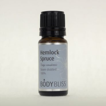 Spruce, Hemlock