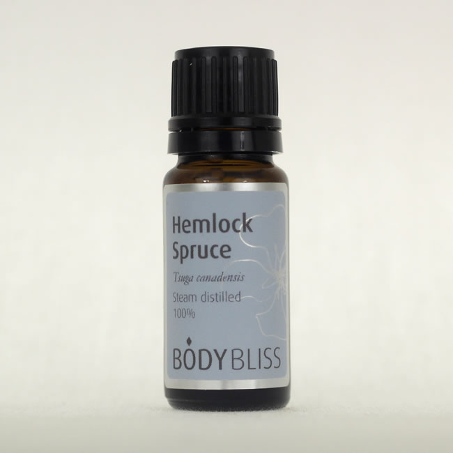 Spruce, Hemlock