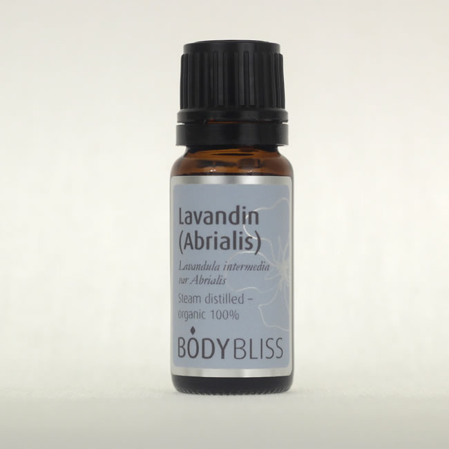 Lavandin