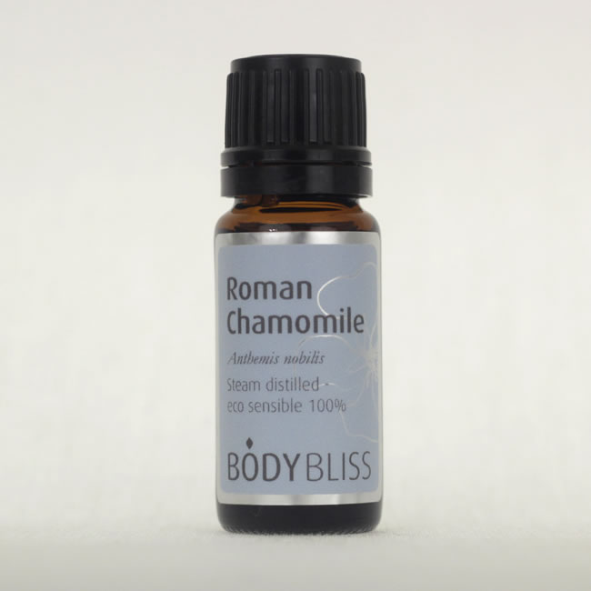 Roman Camomile