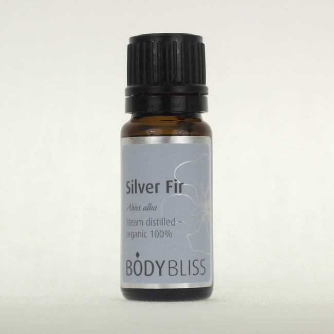 Fir, Silver