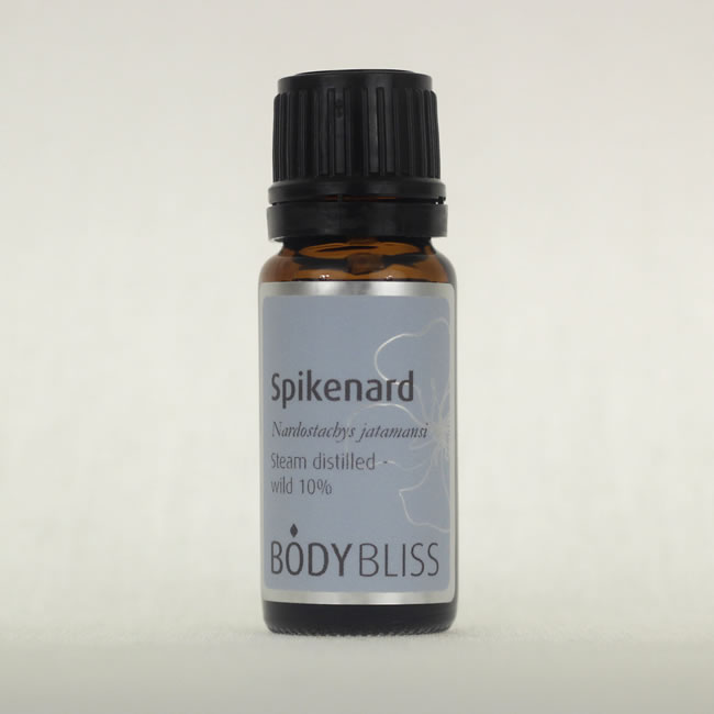 Spikenard