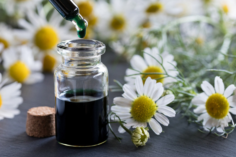 Chamomile